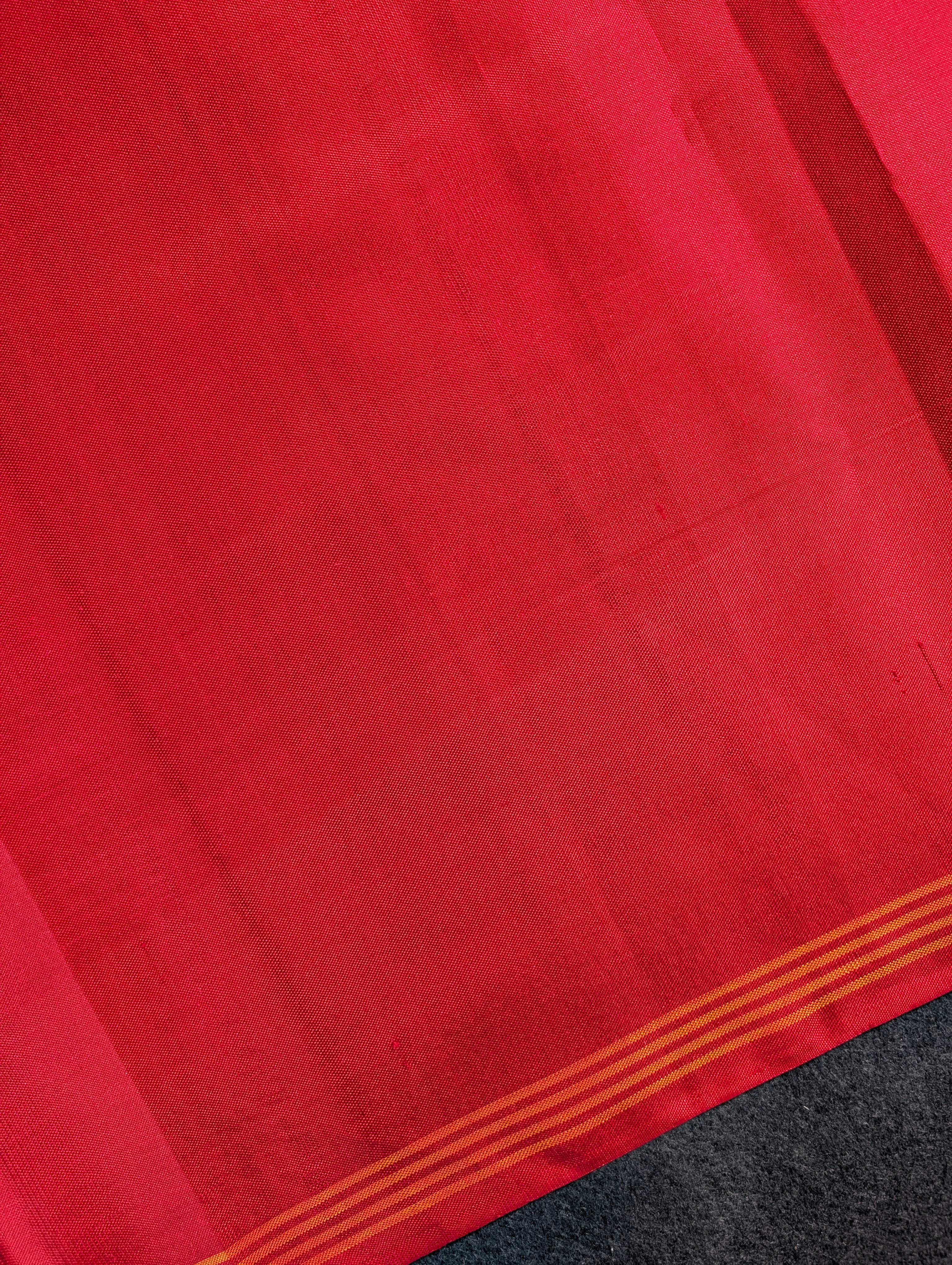 Handloom Tissue Patola Pure Silk Saree X Multicolor with Red Border