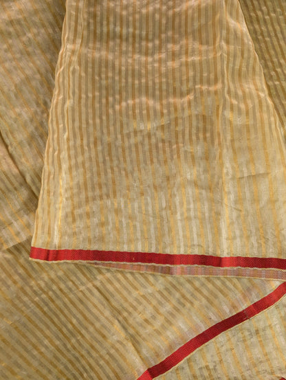 Organza X Pen Kalamkari - Olive Green
