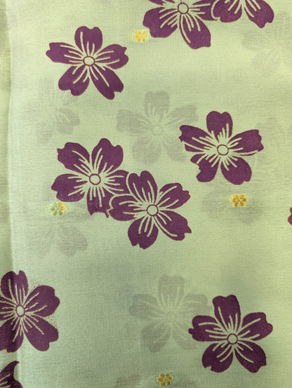 Pure Mysore Silk Crepe - Pastel Green w/t Purple