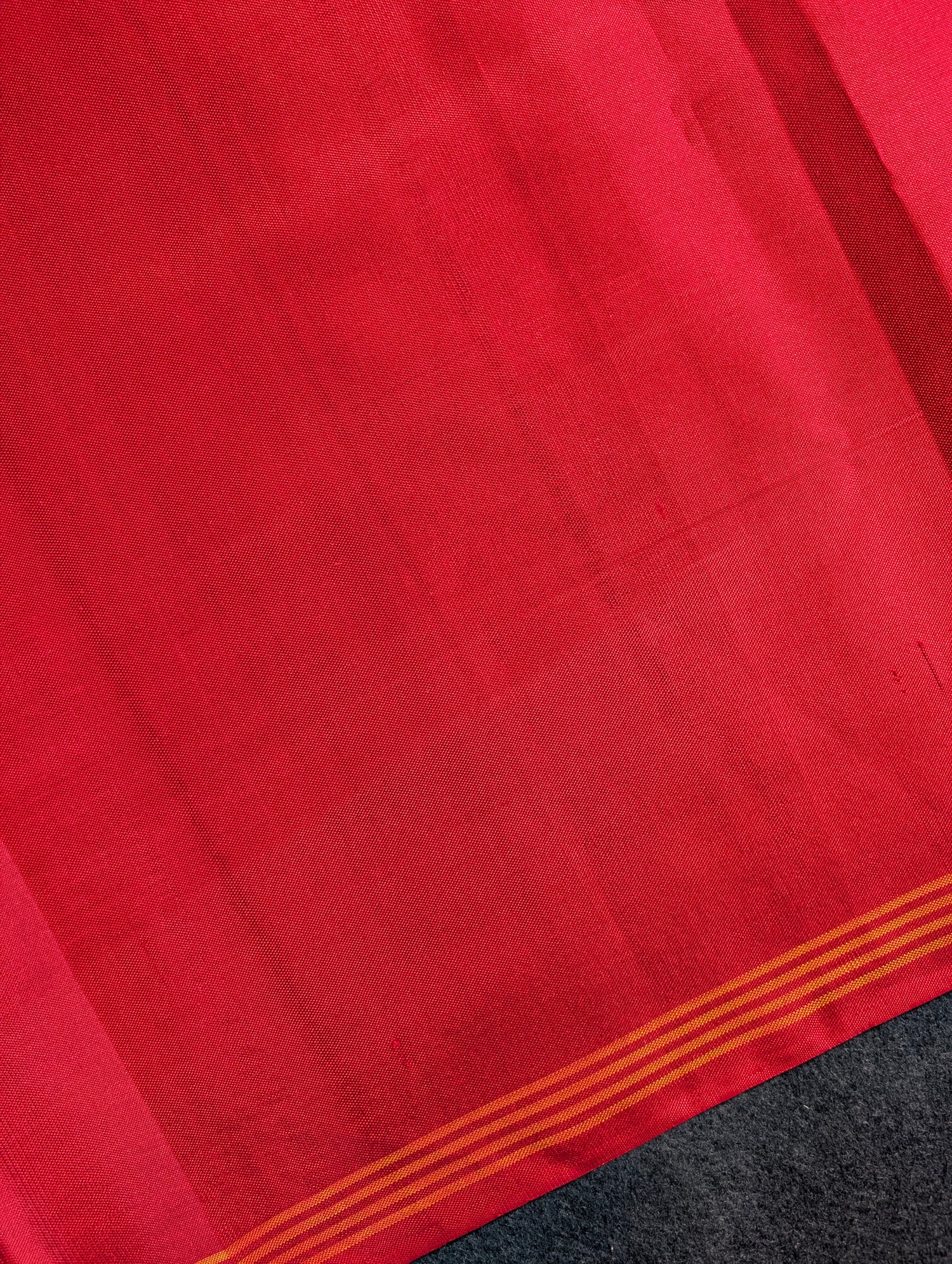 Handloom Tissue Patola Pure Silk Saree X Multicolor with Red Border