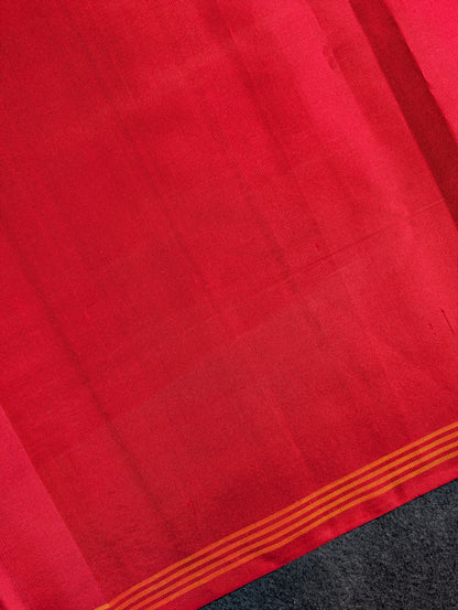 Handloom Tissue Patola Pure Silk Saree X Multicolor with Red Border