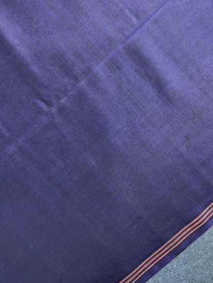 Handloom Pure Silk Patola X Pen Kalamkari